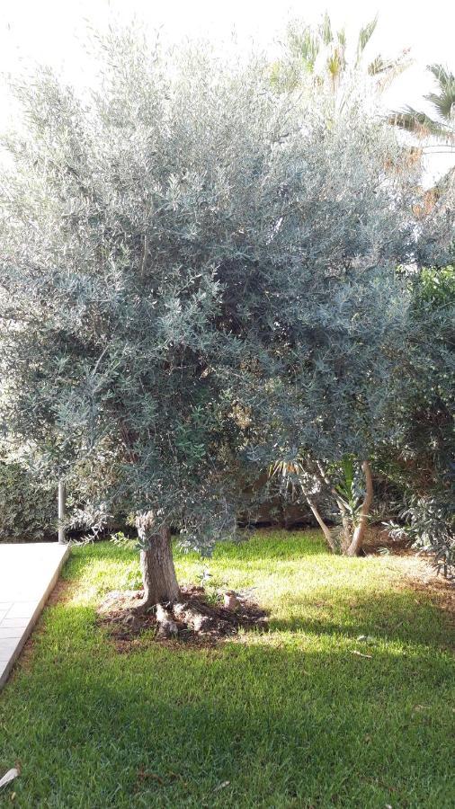 Villa Ninnitina Noto Esterno foto